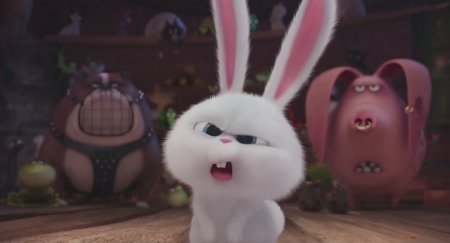 Тайная жизнь домашних животных (2016)