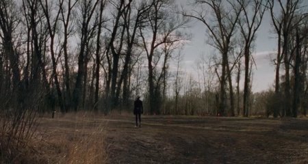 Несколько женщин (2016)