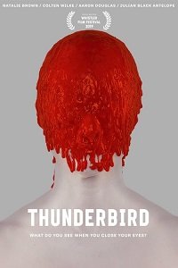 Фильм Громовая птица (2019)