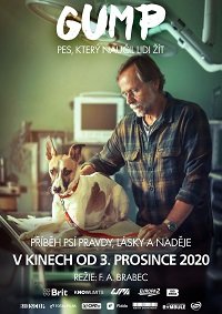 Фильм Гамп — пёс, который научил людей жить (2021)