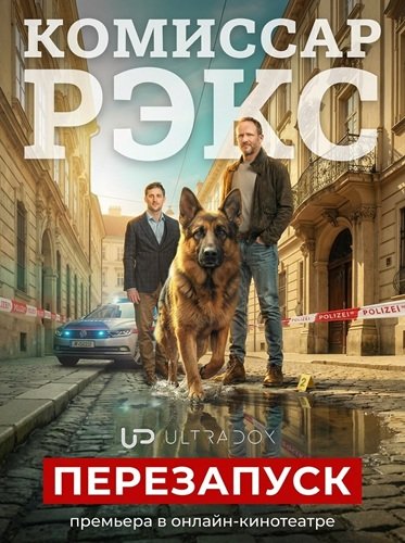 Комиссар Рэкс: Перезапуск (1 сезон)