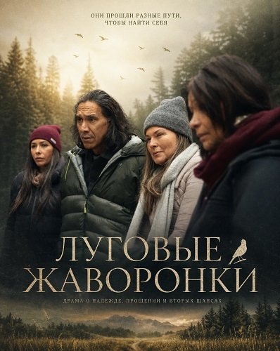 Луговые жаворонки (2025)