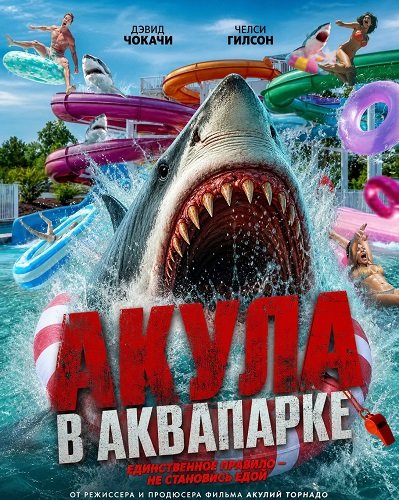 Акула в аквапарке (2025)